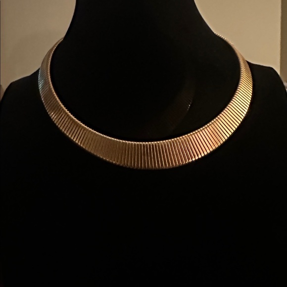 Jewelry - Elegant Gold Omega Necklace